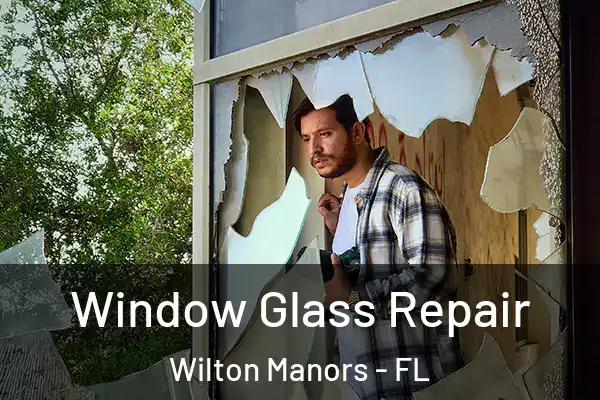 Window Glass Repair Wilton Manors - FL