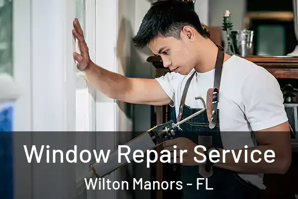 Window Repair Service Wilton Manors - FL